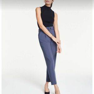 Ann Taylor Blue Ankle Cropped Pants